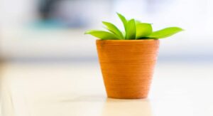 Five Effective Ways to Nurture Leads